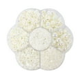 thumbnail image 1 of Qonioi Flat Back Pearls, 2800pcs Resin AB White DIY Craft Pearls, Assorted Sizes 2mm to 10mm for Jewelry Phone Cases Decor, 1 of 1