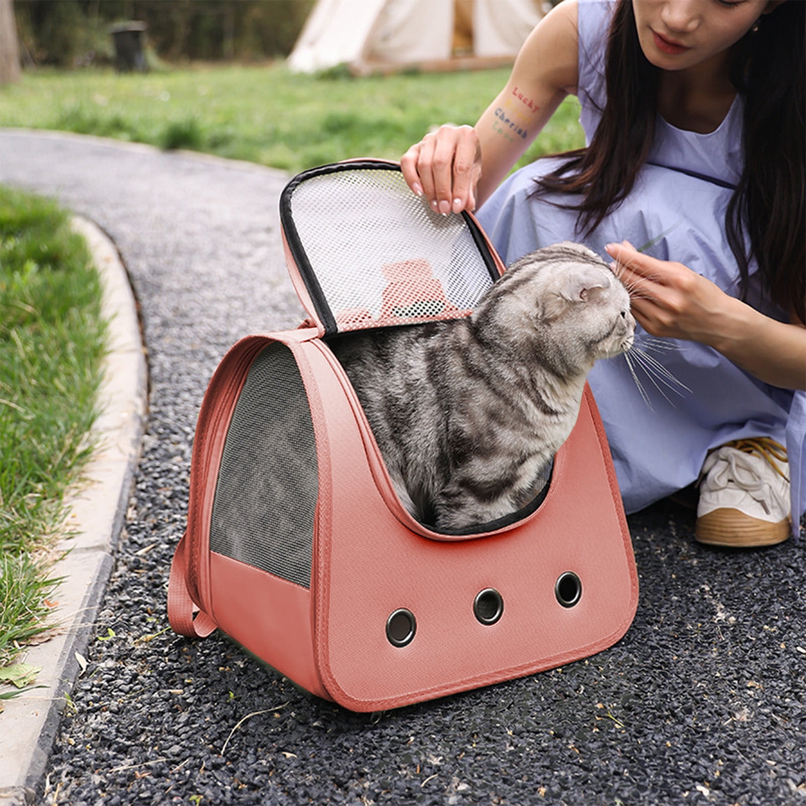 Qonioi Foldable Cat Backpack, Breathable Pet Carrier Backpack for Cats, Portable Walking Bag for Hiking Travel with Ventilation & Safety Lock
