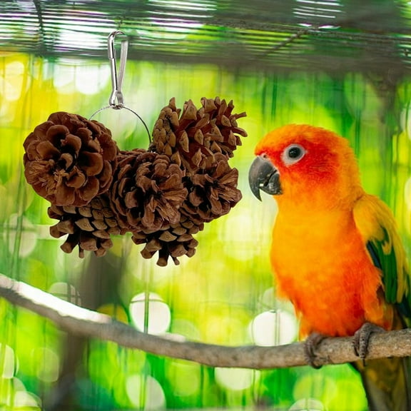 Qonioi Soothing Pinecone Toy, Wooden Chew Toy for Parrots Oral Health Enrichment, Bird Toys, Pet Supplies