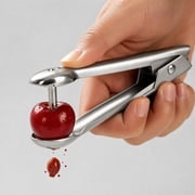 Qonioi Stainless Steel Cherry Pitter, Heavy Duty Cherry Remover for Baking, Manual Stoner Tool with Soft Grip for Jams