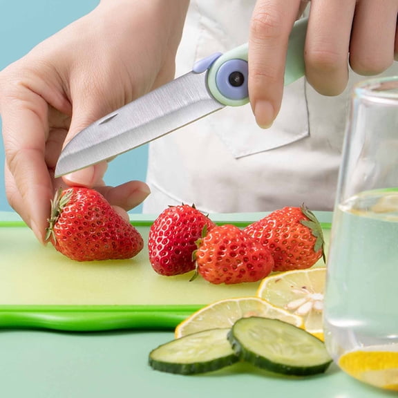 Qonioi Stainless Steel Folding Fruit Knife, Portable Mini Peeling Knife for Outdoor Travel, High-End Customized Paring Knife for Kitchen Picnic Camping