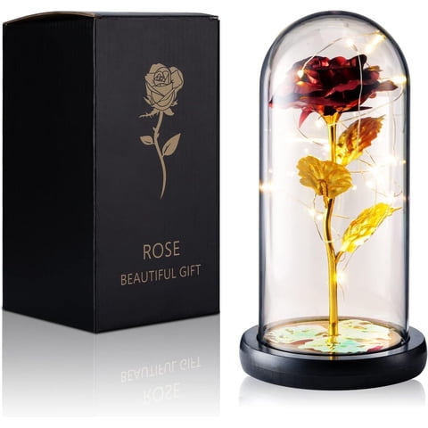 Qoosea Mothers Day Gifts for Mom, Rose Flower Gifts For Women, Forever Rose In Plastic Dome Valentines Day Gifts For Her, Anniversary Birthday Gifts, Room Decor Red