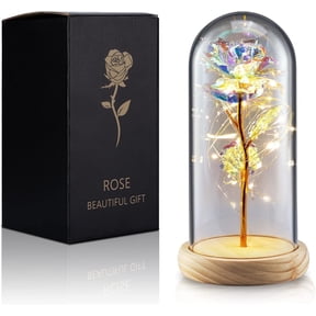 Qoosea Rose Flower for Mothers Day Gifts, Beauty Rose, Forever Rose in Plastic Dome Romantic Gifts for Her Christmas Anniversary Valentine's Day Decorations