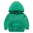 thumbnail image 1 of Qopobobo Zip Up Hoodie Boys Toddler Sweaters Girls Toddler Girls Fleece Hoodie Jacket Fall Spring Sweatshirt with Pocket Cute Print Top Green,9-10 Years, 1 of 4
