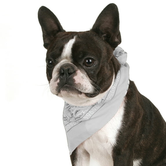 Qraftsy Paisley Cotton Pack of 6 Dog Bandana Triangle Shape - Fits Most Pets