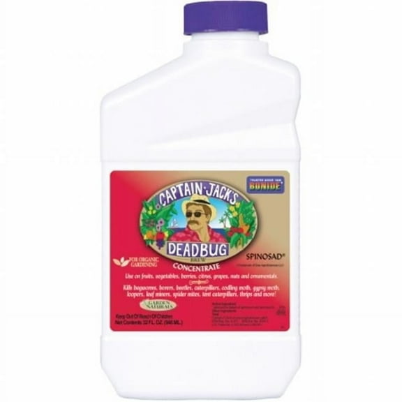 Qt Dead Bug Brew Conc