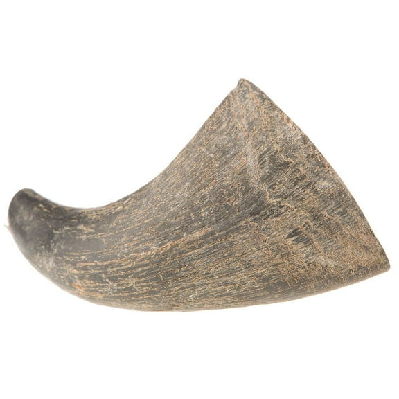 Qt Dog Small Buffalo Horn