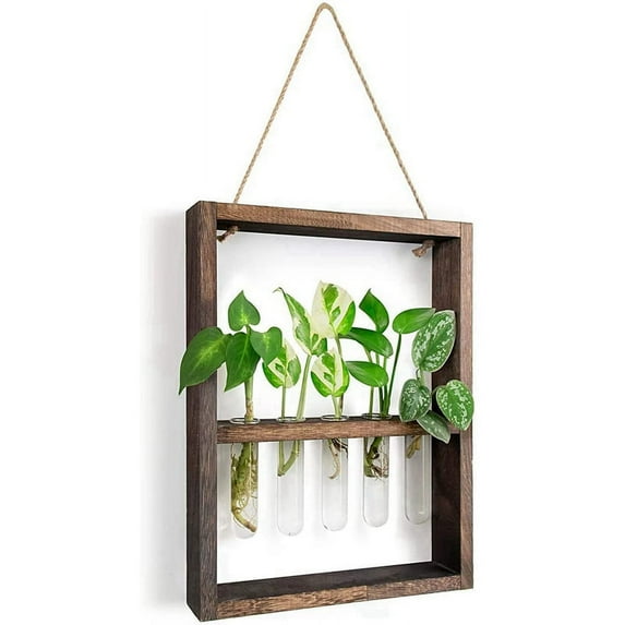 Qtmnekly Wall Mounted Hanging Plants Test Tube Flower Bud Glass Terrarium Wooden Frame for Home Garden Wedding Decoration