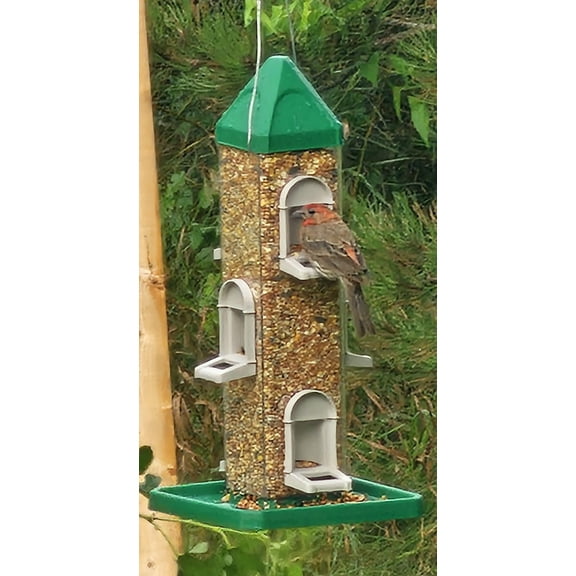 Qty 2 Green Square Tube Bird Feeders with 6 Feeding Ports for Outdoors Hanging, Premium Hard Plastic Weatherproof & Steel Hanger, Attracting for Wild Birds Hunter Green 2, Hunter Green