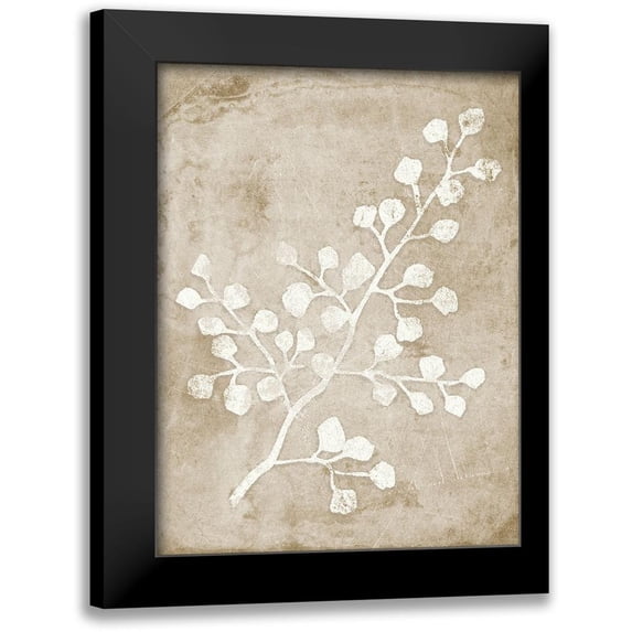 Quach, Anna 12x14 Black Modern Framed Museum Art Print Titled - Rustic Floral II