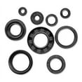 thumbnail image 1 of Quad Boss 822140 Oil Seal Set, 1 of 1