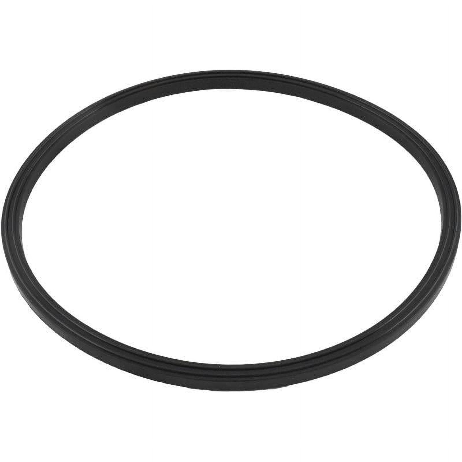 Quad Ring, Zodiac Jandy JS100SM, Tank Lid