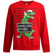 Quad Seven Boys Ugly Christmas Sweater Fleece Novelty Xmas Holiday Party Pullover Sweatshirt