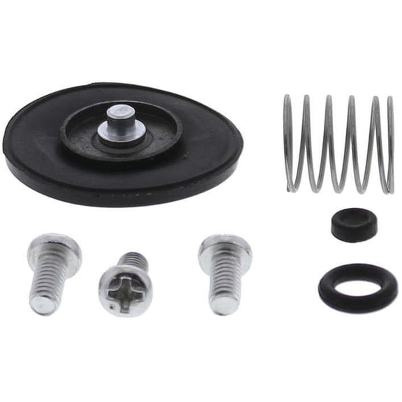 QuadBoss 5346-3005 Accelerator Pump Kit