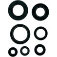 thumbnail image 1 of QuadBoss ATV Engine Oil Seal Kit 822153, 1 of 2