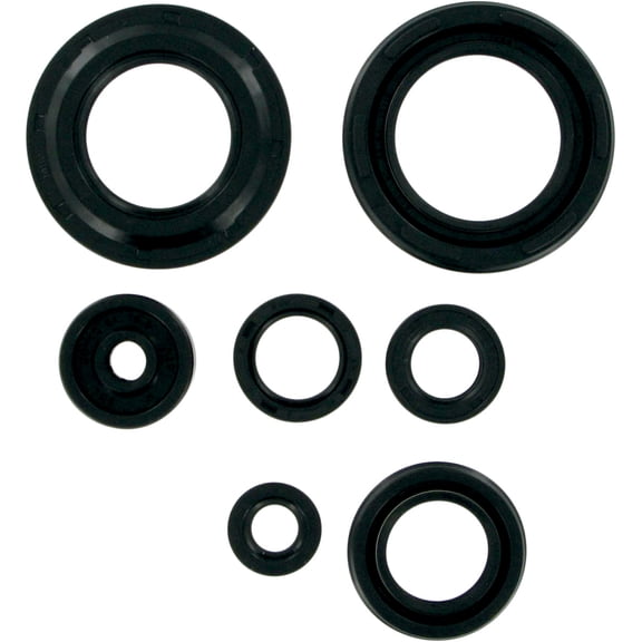 QuadBoss ATV Engine Oil Seal Kit 822154