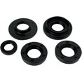 thumbnail image 1 of QuadBoss ATV Engine Oil Seal Kit 822231, 1 of 2