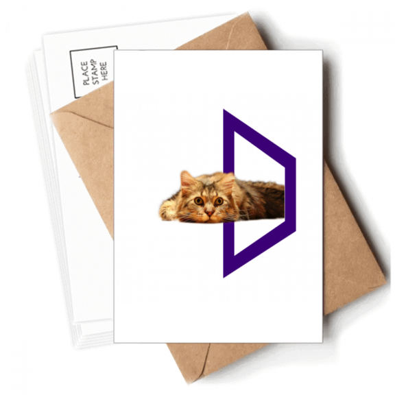 Quadrilateral Cat Lie Sleep Pet Postcards Envelopes Blank Note Cards Mailing
