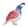 thumbnail image 1 of Quail - 3" Vinyl Sticker - For Car Laptop Water Bottle Phone - Waterproof Decal, 1 of 2