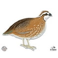 thumbnail image 1 of Quail - 8" Vinyl Sticker - For Car Laptop I-Pad - Waterproof Decal, 1 of 1