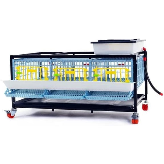 Quail Breeding Cage Indoor: 1 Layer Stackable Quail Coops, Quail Cage, Easy Clean, Rust-Free, Easy Egg Collection (2024 Upgrades: Longer Waste Tray, Removable Middle Walls) Cimuka by Hatching Time