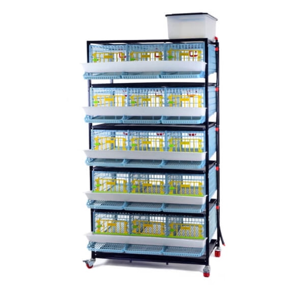 Quail Cage - 5 Layer Flooring Options: Jumbo Quail
