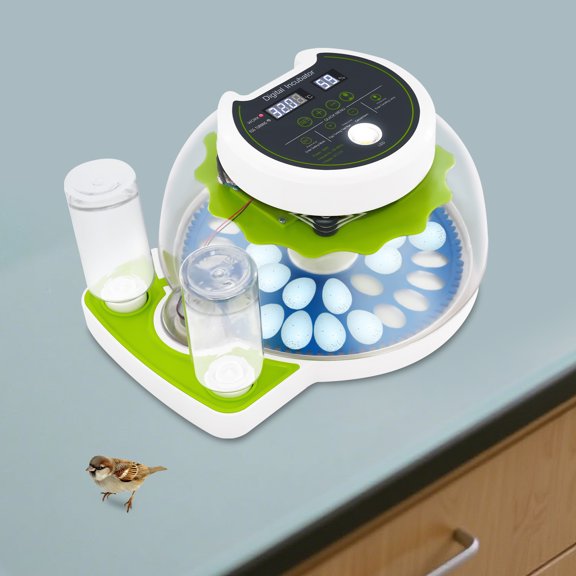 Quail Egg Incubator, Small Quail Brooder, Poultry Quail Incubator For Small Breeder Eggs Such As Rutin Chicken, Quail