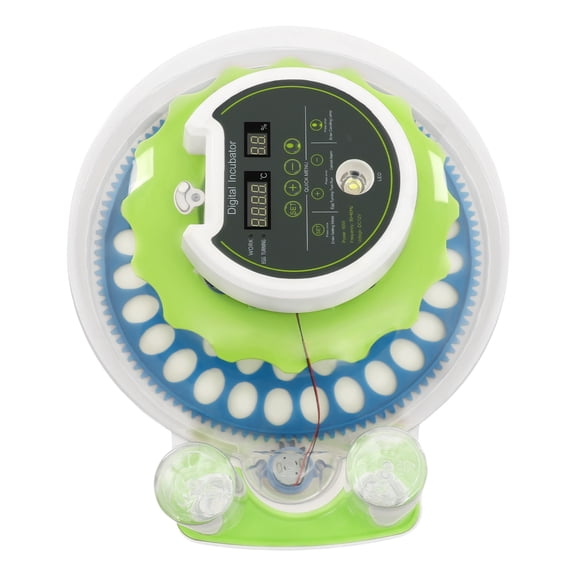 Quail Egg Incubator for Hatching 60 Quail Eggs, Poultry Quail Brooder with LED Screen, Green and Blue Small Quail Incubator