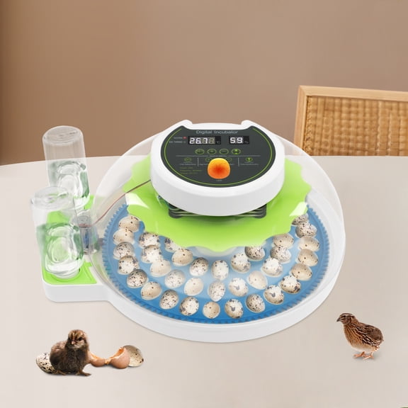 Quail Egg Incubator for Hatching 60 Quail Eggs, Small Quail Brooder, Poultry Quail Incubator For Small Breeder Eggs Such As Ruddy Hens, Quail