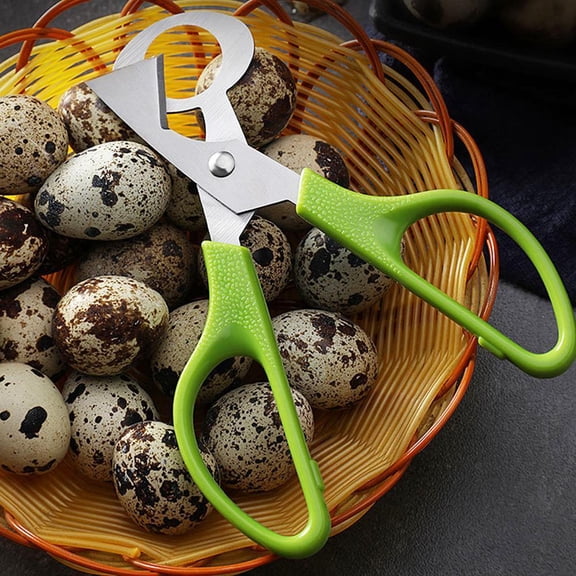 Quail Egg Scissors Cutter, Stainless Steel Blade Egg Topper Opener Tool for Soft Boiled Eggs, ABS Handle Kitchen Gadget for Clean Egg Shell Removal