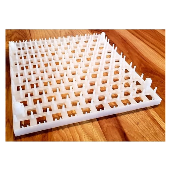 Quail Egg Trays (6 pack)