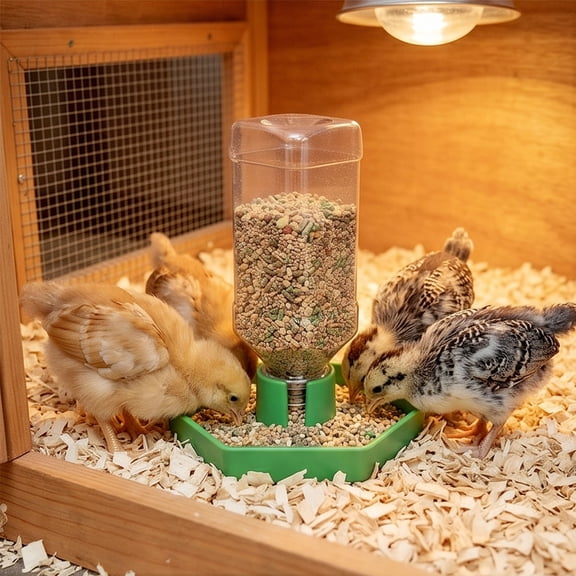 Quail Feeder Automatic Multi Purpose Water Container for Chicks Small Farm Birds Chicken Water Dispenser Spill Proof Poultry Container