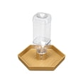 thumbnail image 1 of Quail Feeder and Waterer for Farm,Gravity Auto Poultry Food Dispenser,Dry/Wet Separation,Multi-Functional Water & Feed Container for Chicks,Quails & Small Farm Birds,Gold, 1 of 7