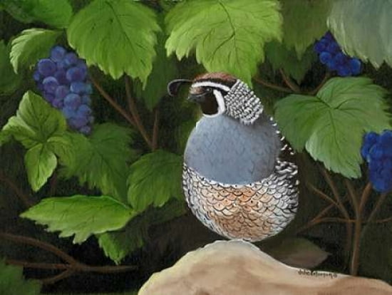 Quail Grapes Canvas Art - Julie Peterson (18 x 24)