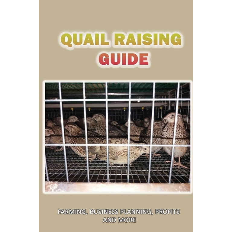 Backyard Quail Farming