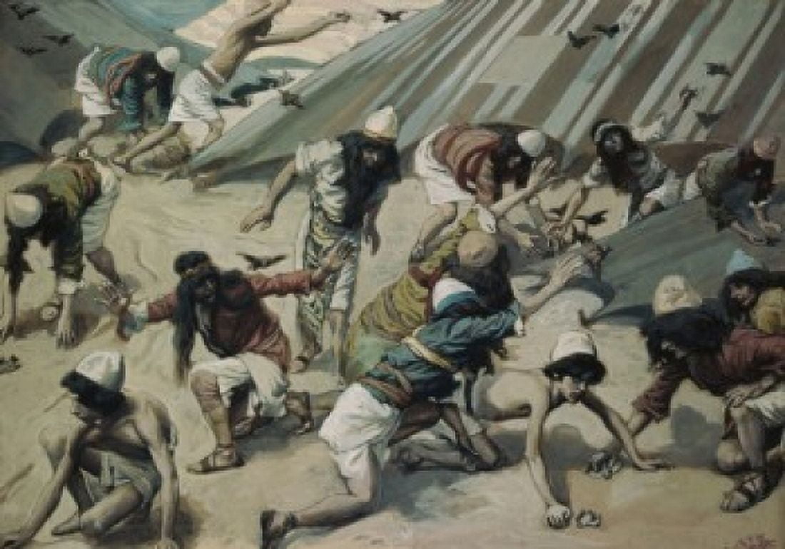 Quails are Sent to the Israelites James J Tissot (1836-1902French) Jewish Museum New York Canvas Art - James Tissot (18 x 24)
