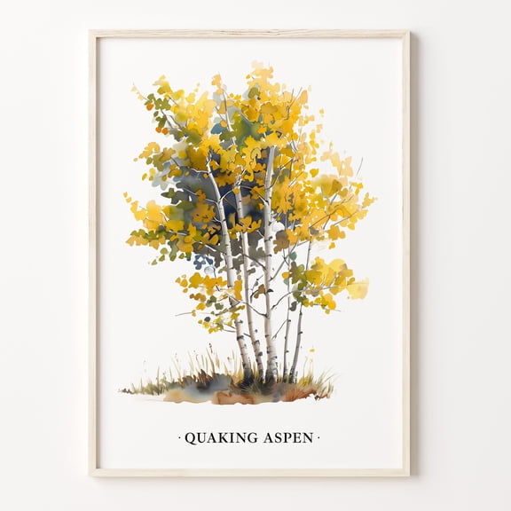 Quaking Aspen Tree Poster Nature Landscape Poster, Poster Only