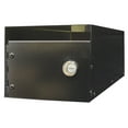 thumbnail image 1 of E1 Economy Mailbox Locking Insert Only, 1 of 2