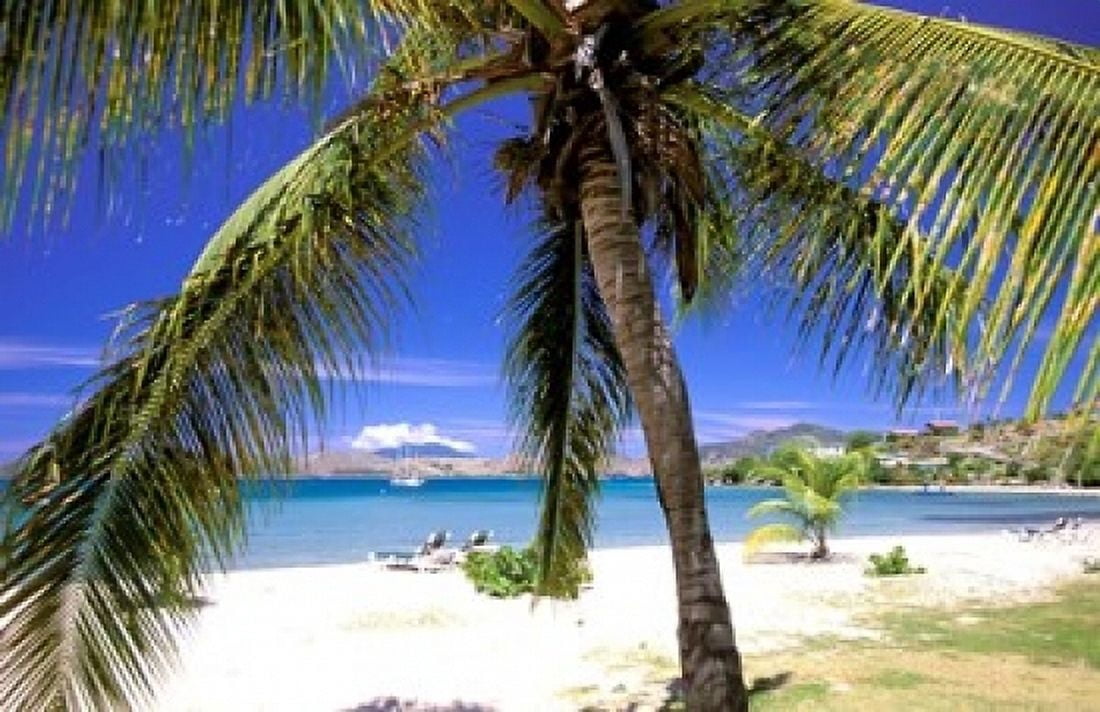 Qualie Beach Nevis Caribbean Canvas Art - Nik Wheeler DanitaDelimont (36 x 24)