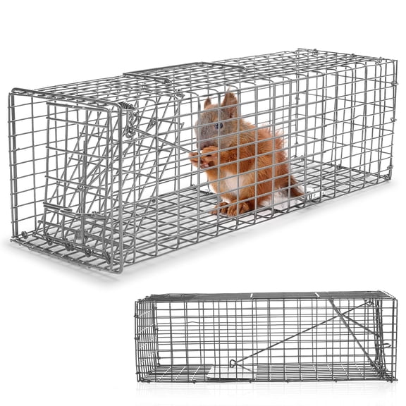 Qualirey 2 Pcs Humane Squirrel Trap Heavy Duty Live Animal Chipmunk Catch and Release Rat Trap for Outdoor Small Animals Mouse Raccoon Stray Cat Rodent Weasels(Silver)