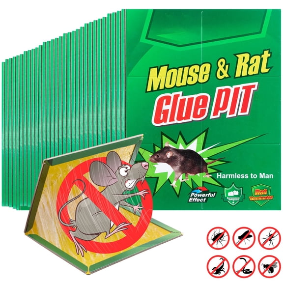 Qualirey 30 Pcs Large Sticky Traps for Mice and Rats Mouse Traps Glue with Enhanced Stickiness Sticky 9.4'' x 6.6'' for Mice, Pest Control House Indoor Outdoor(30 Pcs,9.4'' x 6.6'')