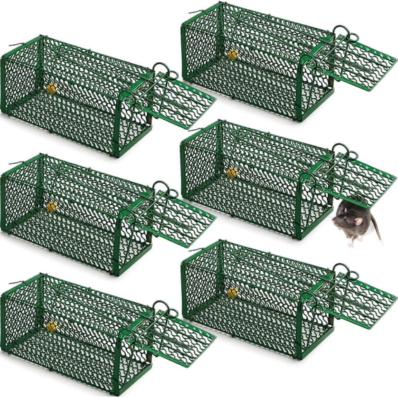 Qualirey 6 Pcs Humane Rat Trap Chipmunk Squirrel Cage Trap Foldable Rodent for Small Live Animal Voles Hamsters Catch and Release for Kitchen Yard Garage Indoors Outdoors (Green)