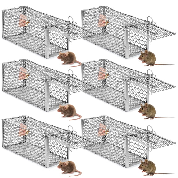 Qualirey 6 Pcs Humane Rat Trap Small Chipmunk Mouse Squirrel Cage Rodent Animal Voles Hamsters Cage Catch and Release Trap for Home Garden Indoor Outdoor (Silver,10.6 x 5 x 5 Inch)