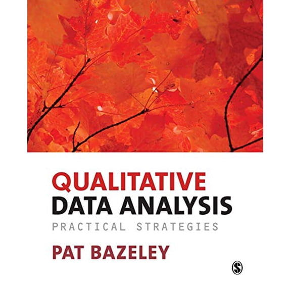 Pre-Owned Qualitative Data Analysis: Practical Strategies (Paperback) 1849203032 9781849203036