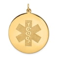 thumbnail image 1 of Quality Gold 14K Medical Jewelry Unenameled Pendant, Yellow, 1 of 4