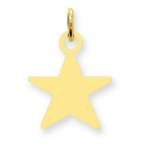 Simply Starz 14K Plain .011 Gauge Engravable Star 17x15mm Disc Charm