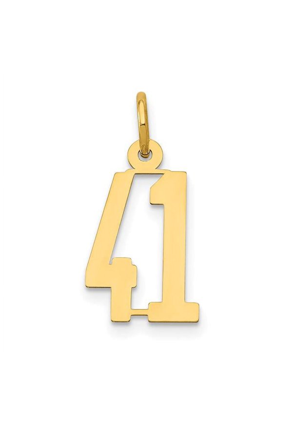 14K Yellow Gold Polished Finish Small Size Elongated Shape Number 41 Charm Pendant