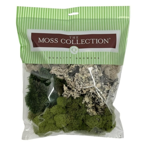 Quality Growers - The Moss Collection Variety Pack - Natural Decorative Moss - Crafts, Home Decor, Art, Design & DIY Projects - Non-Toxic - Made in USA - Original, Medium