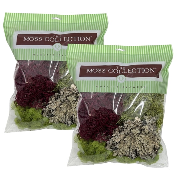 Quality Growers - The Moss Collection Variety Pack - Natural Decorative Moss - Crafts, Home Decor, Art, Design & DIY Projects - Non-Toxic - Made in USA - Red Mix, Medium, 2-Pack