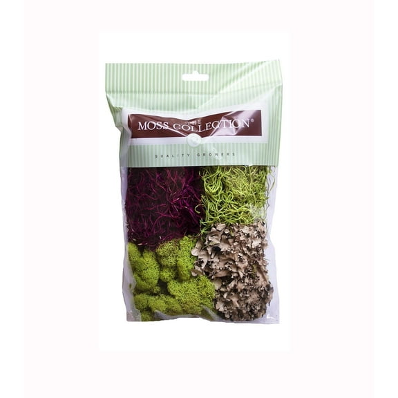 Quality Growers - The Moss Collection Variety Pack - Natural Decorative Moss - Crafts, Home Decor, Art, Design & DIY Projects - Non-Toxic - Made in USA - Red Mix, Small